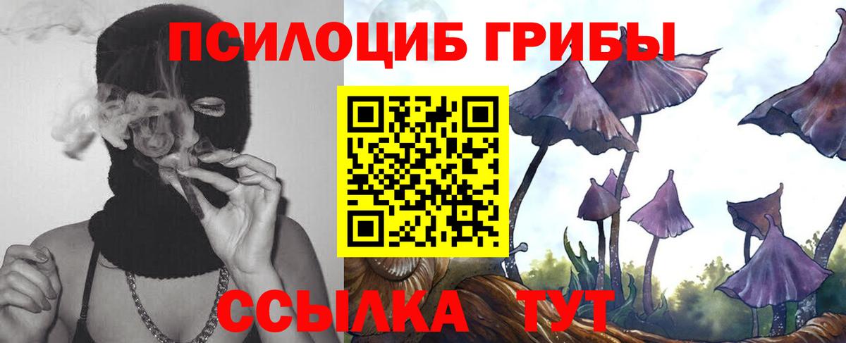 Галлюциногенные грибы мицелий  Галлюциногенные грибы Cubensis  Карабулак  Вход с VPN 
